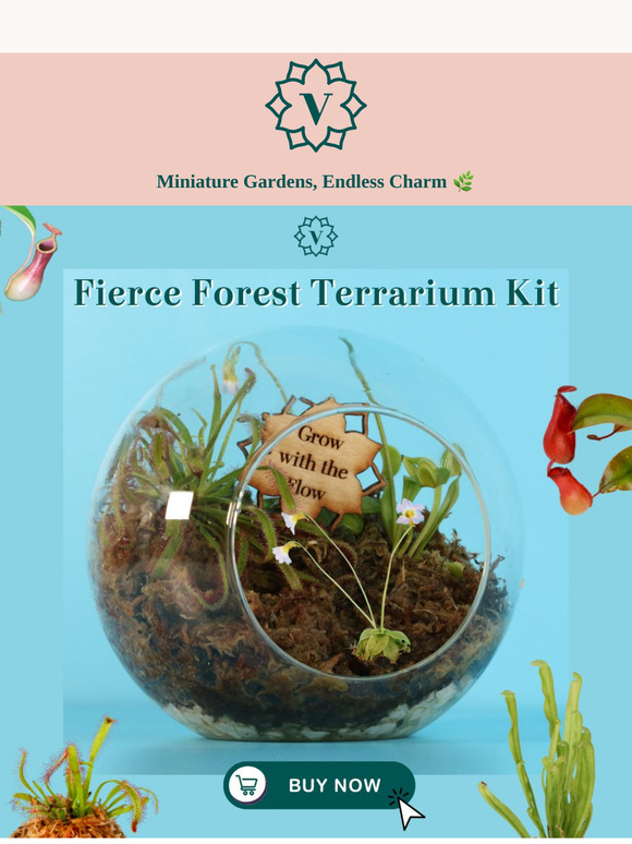 🌱 Build Your Dream Mini Jungle: Terrarium Kits Now Available! 🌿 Bring the jungle indoors!