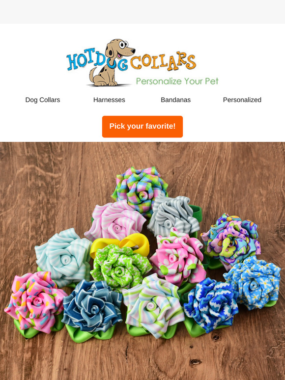 Add a Pop of Spring to Any Collar!