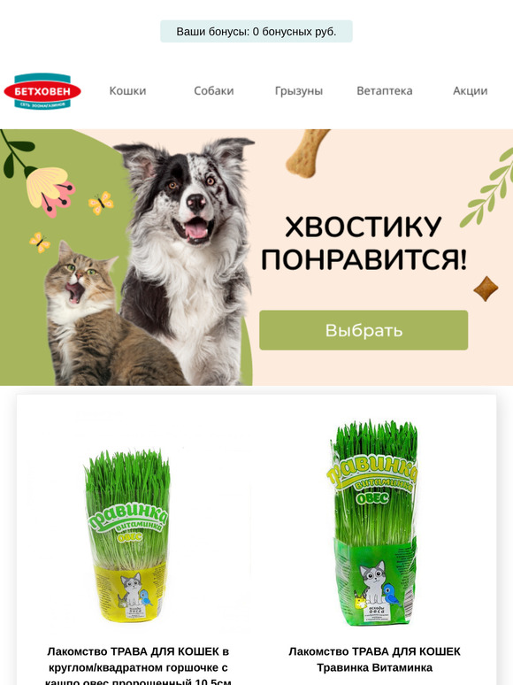 😍 Товары только для вас и вашего любимца! ❤️