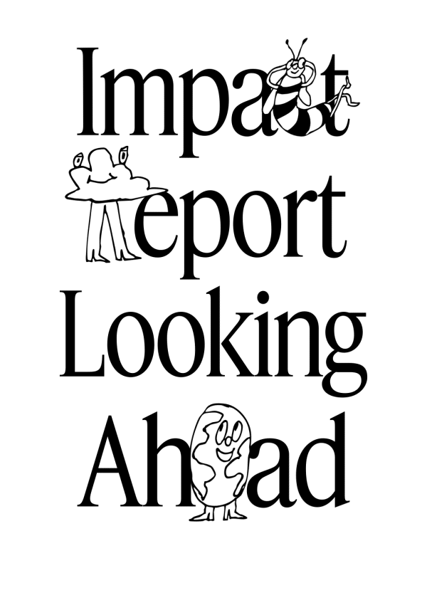 Impact Report Looking Ahead