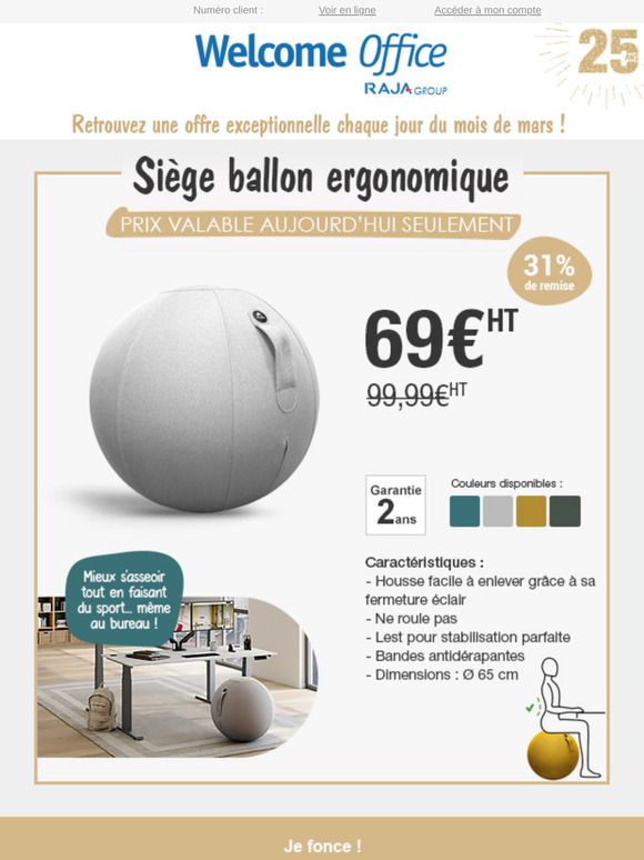 Siège ballon ergonomique à 69€HT