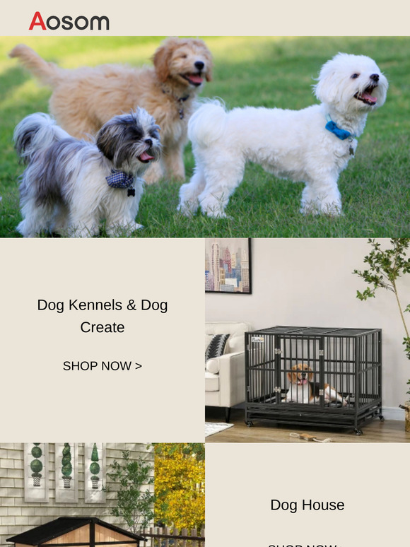 The Best for Your Pup – ShopDog Essentials!