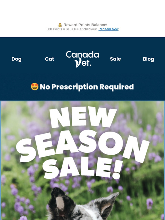 🌷Fresh Deals🌷Are in Season