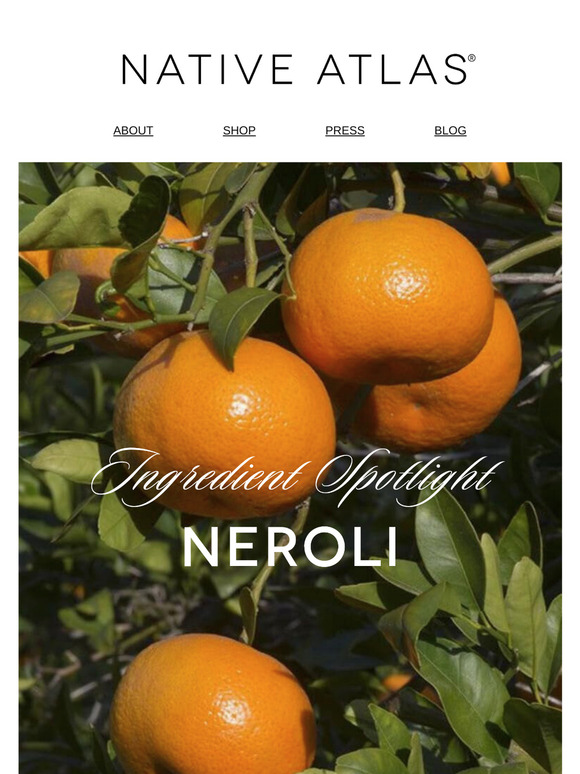 Living Beauty Oil's Power Ingredient