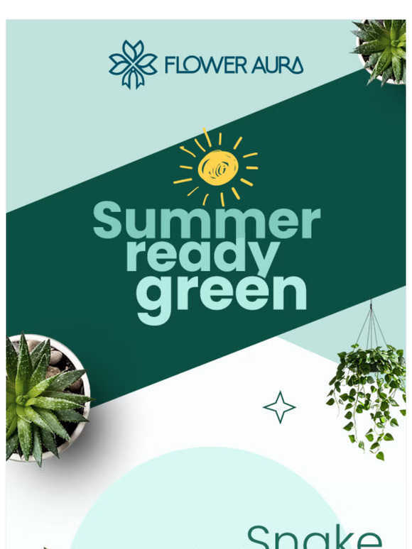 Beat the Heat with These Low-Maintenance Indoor Plants
