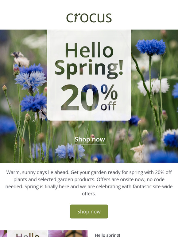 Say hello to spring with 20% off plants 💫