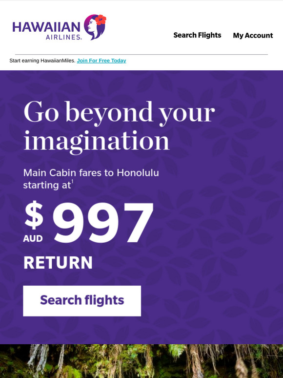 Take flight with these great fares