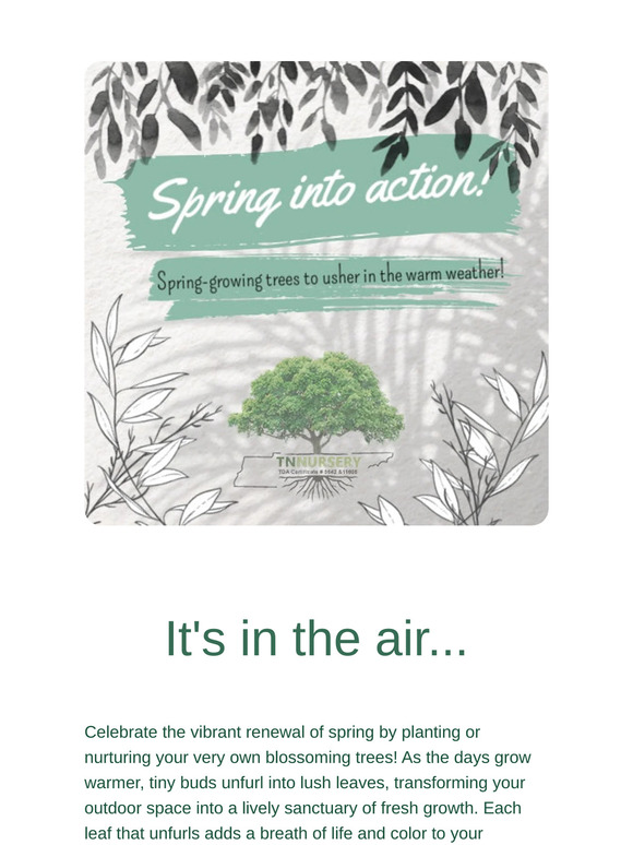 Spring is Here - Grow a Tree and Watch Life Bloom!