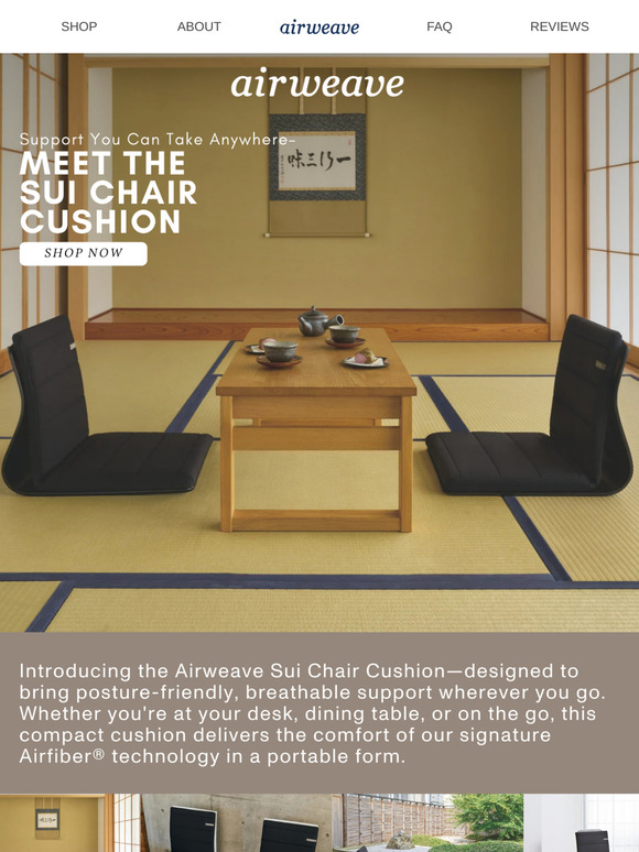 Meet Your New Favorite Chair Cushion!