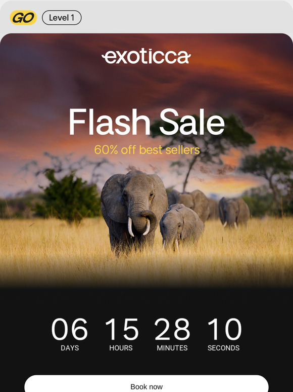 Flash Sale: 60% Off spring promo