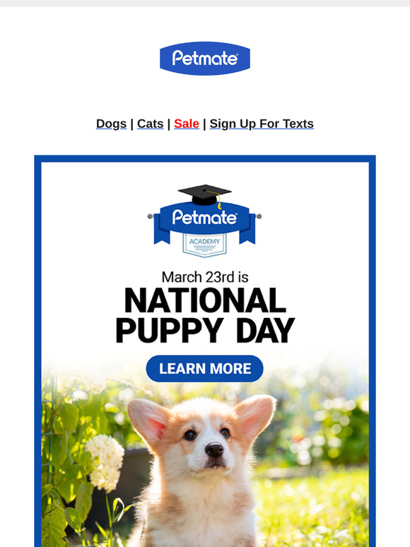 Celebrate National Puppy Day with Petmate Academy!