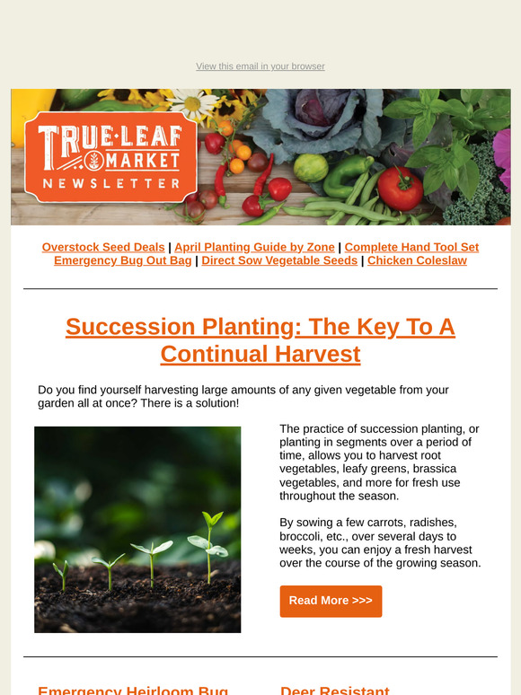 Extend Your Harvest Window with Succession Planting | TLM Newsletter