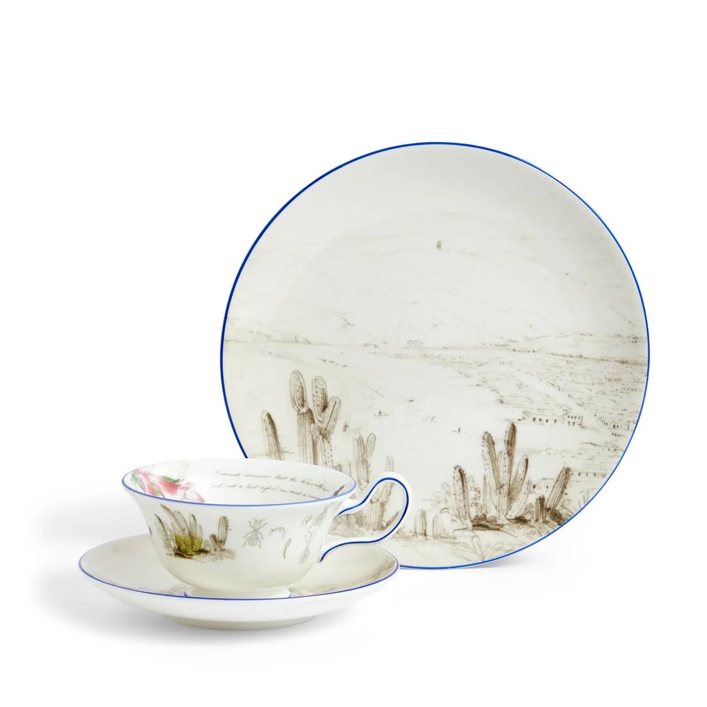 Darwin Voyage of the Beagle Chile Teacup Saucer Plate 3 Pieces