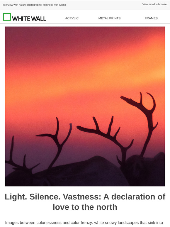 Between reindeer, fog and midnight sun
