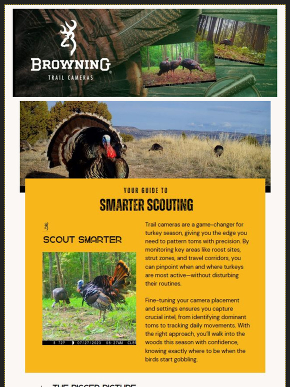 Your Guide to Smarter Scouting with Trail Cameras from Browning Trail Cameras!
