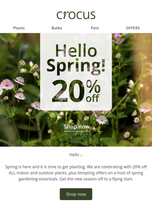 Shopped your favourites yet? Now 20% off ✨