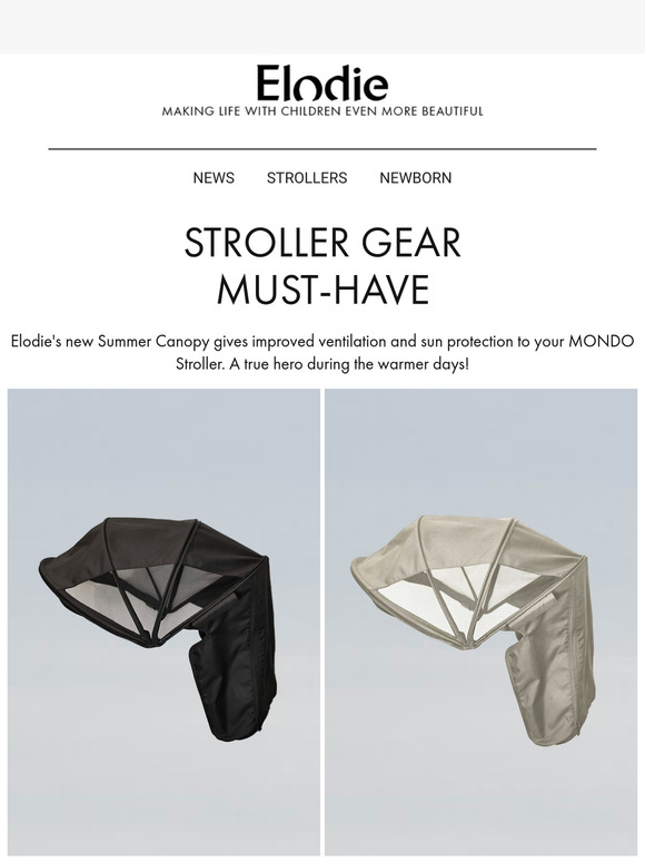 New in Summer Canopy