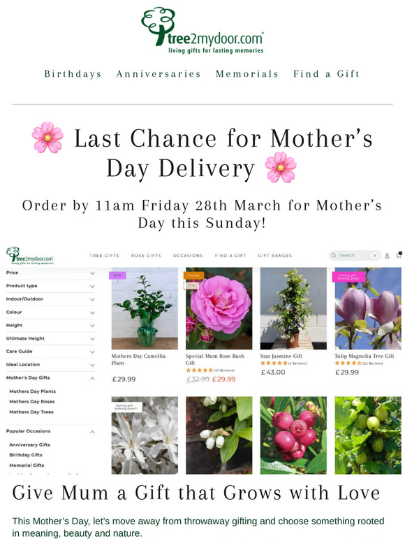 Final Call for Mother's Day Surprises!