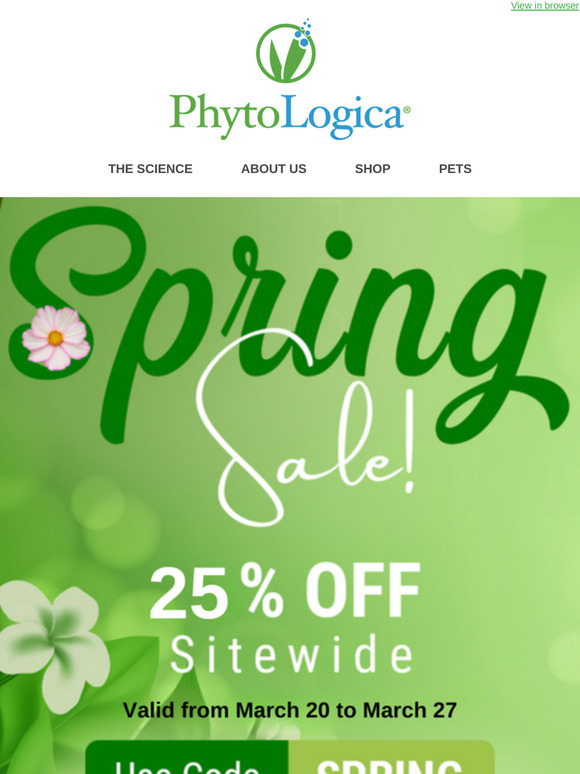🌱SPRING is finally here!!🌷Let's celebrate!