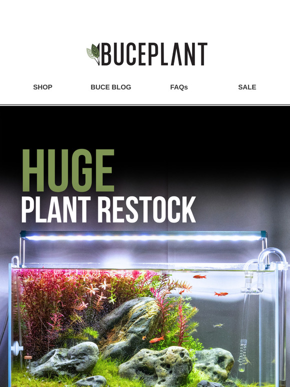Just Landed: Fresh Plants, LED Lighting, & MORE 😎🌿