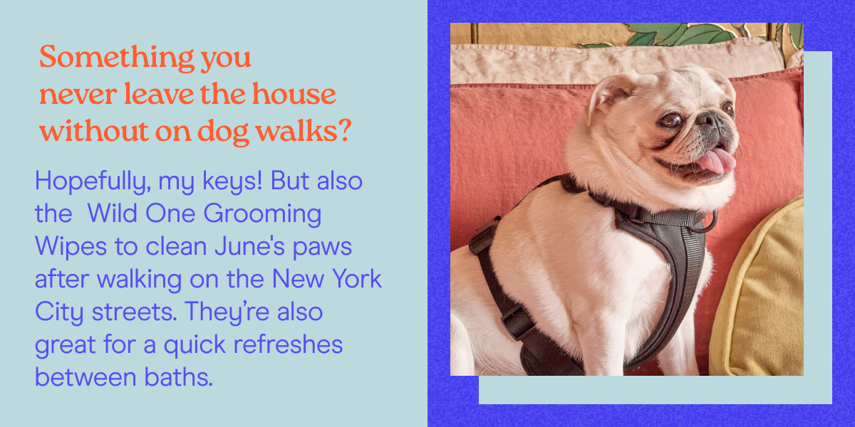 Something you never leave the house without on dog walks? Hopefully, my keys! But also the  Wild One Grooming Wipes to clean June's paws after walking on the New York City streets. They’re also great for a quick refreshes between baths.