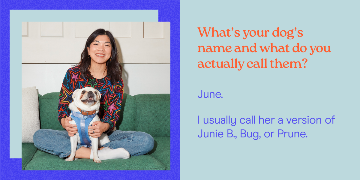 What’s your dog’s name and what do you actually call them? June.  I usually call her a version of Junie B., Bug, or Prune.
