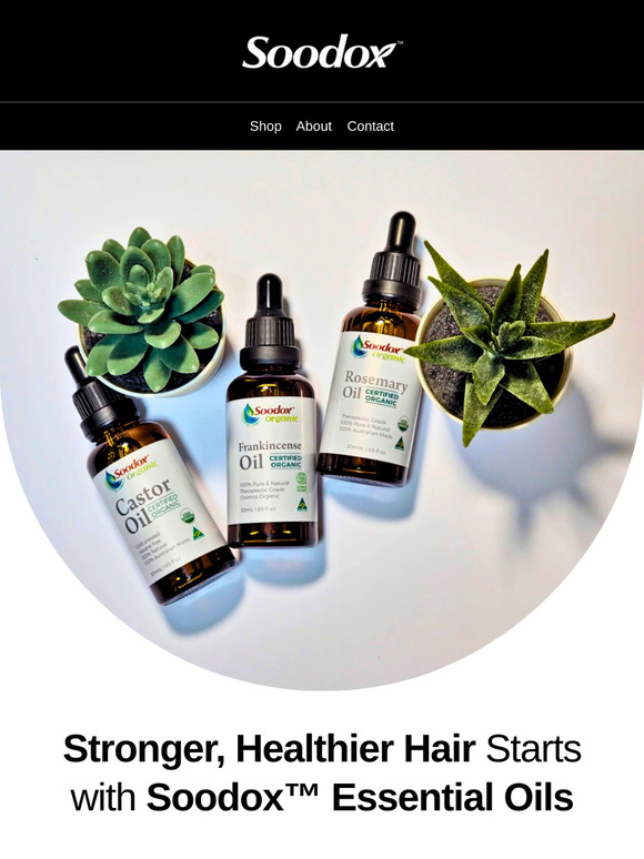 Ready to Mix & Match? Try This DIY Hair Care Essential Oil Recipes!