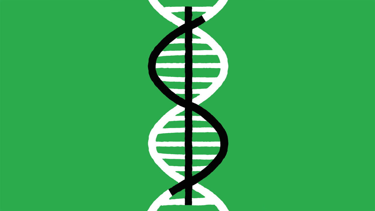 An illustration of a dollar sign blended into a DNA double helix.