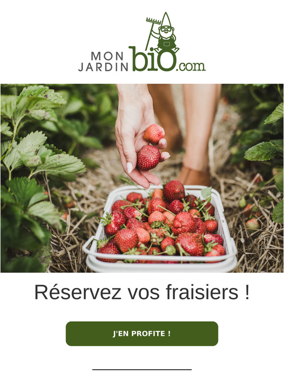 🍓 Réservez dès maintenant vos fraisiers