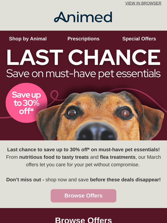 Last Chance for March Offers! 🐕