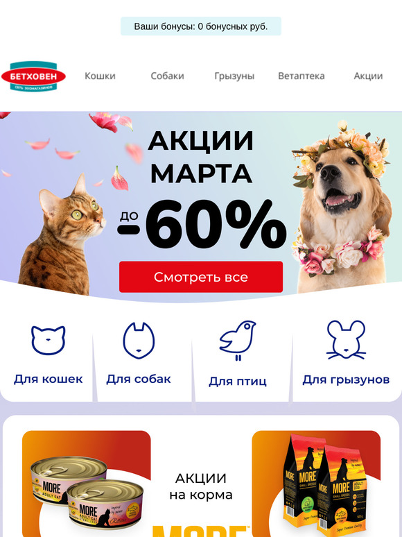 Скидки до 60% 🔥 Только 3 дня!