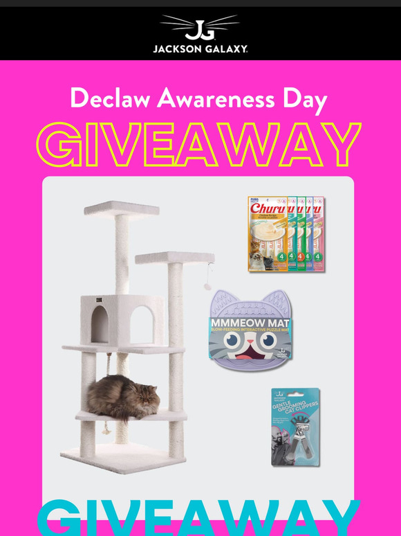 GIVEAWAY for Declaw Awareness Day! 🎉