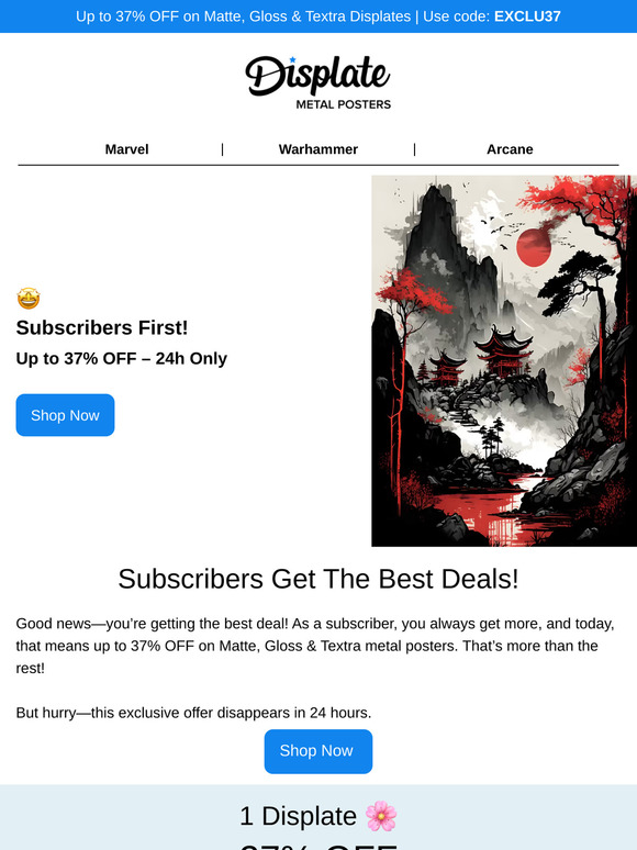 🤩 Your Exclusive 37% OFF – 24h Only!