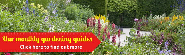 Our monthly gardening guides