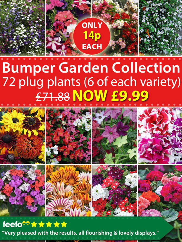 Bumper Garden Collection