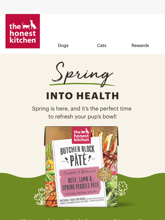 A Spring Refresh for Your Pup’s Bowl 🐶