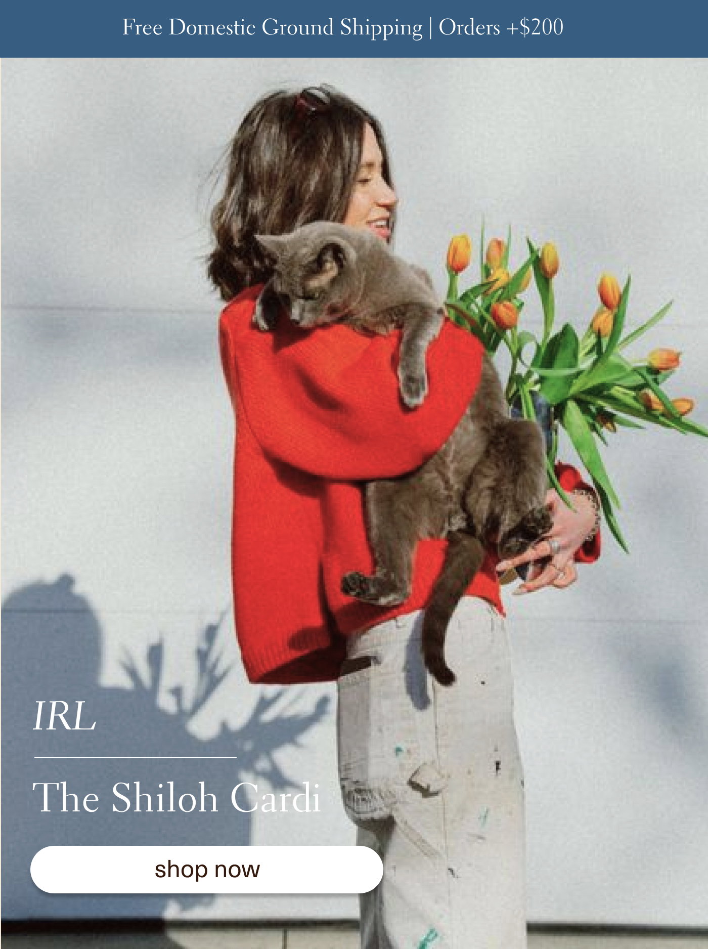 IRL the Shiloh Cardigan