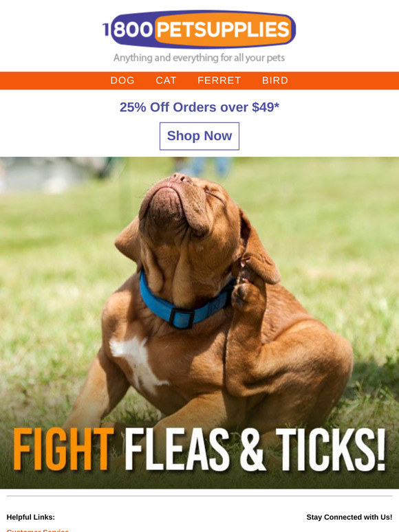 Take a Savings Break with 25% Off Your Order