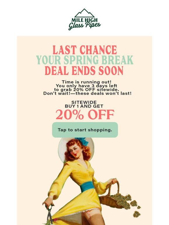 3 Days Left! ⏳ Don’t Miss 20% OFF!