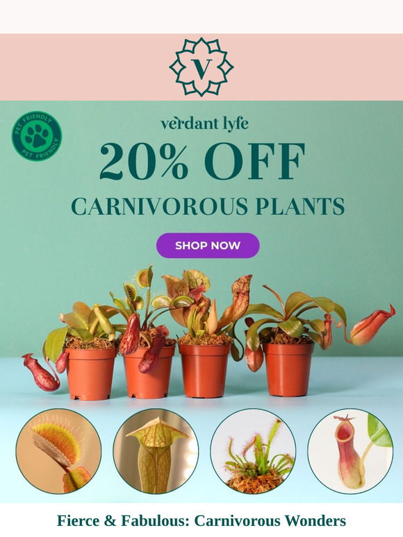 🌿 Save 20% on Carnivorous Plants + FREE Care Guide! 🪴  🌿 Save 20% on Carnivorous Plants +Give Away + FREE Care Guide! 🪴
