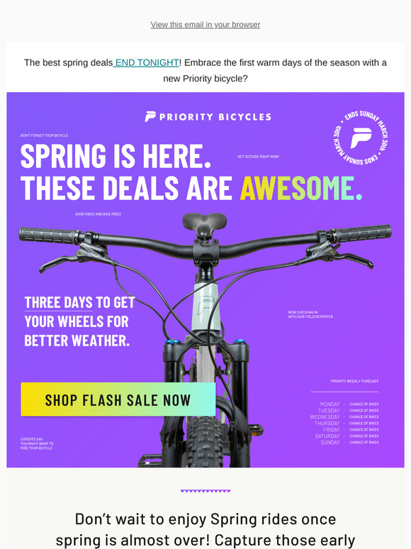 Last Call! 72-Hour Spring Sale Ends Tonight!  🚨