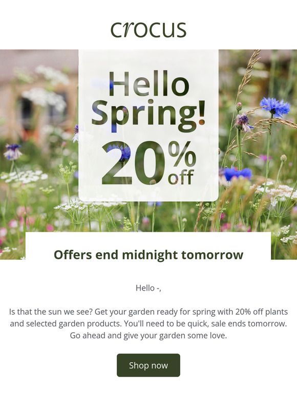 Sale ends soon | Save 20% 🌿