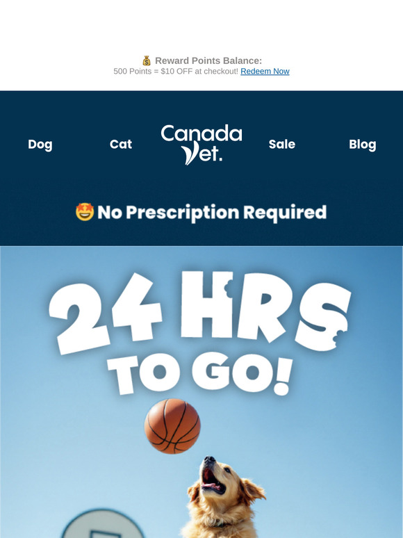 Final 24hrs 🏀 March Madness Closing Now! 🚨