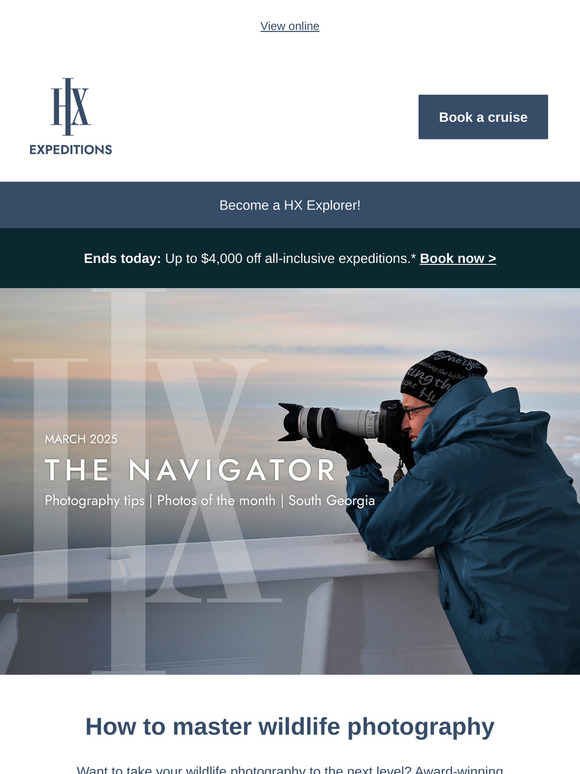 The Navigator: How to take great wildlife photos