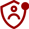 Shield Icon