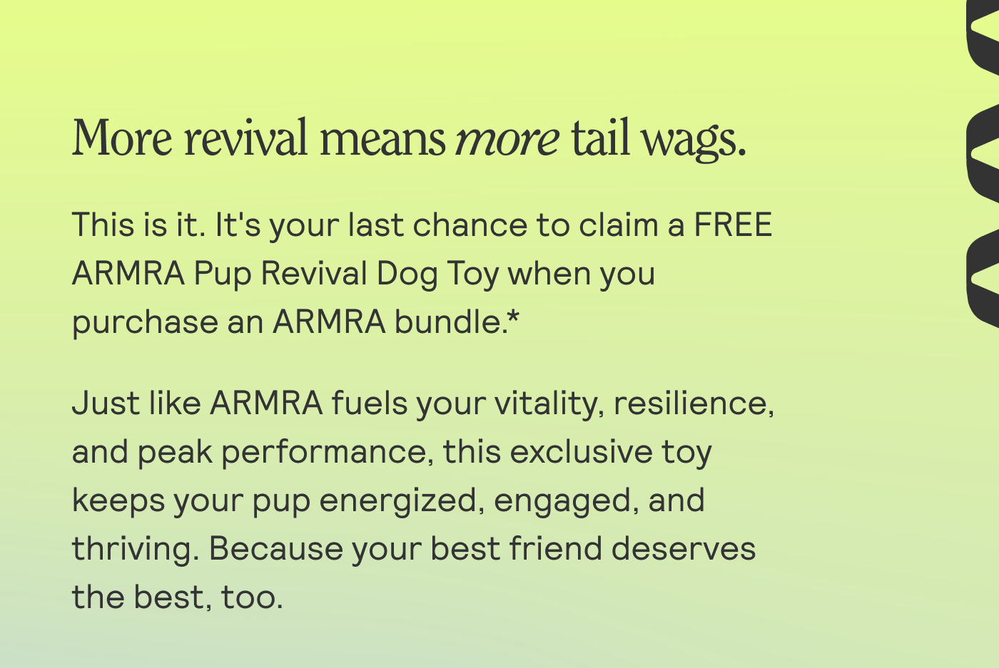 More revival means more tail wags. This is it. It's your last chance to claim a FREE ARMRA Pup Revival Dog Toy when you purchase an ARMRA bundle *  Just like ARMRA fuels your vitality, resilience, and peak performance, this exclusive toy keeps your pup energized, engaged, and thriving. Because your best friend deserves the best, too.