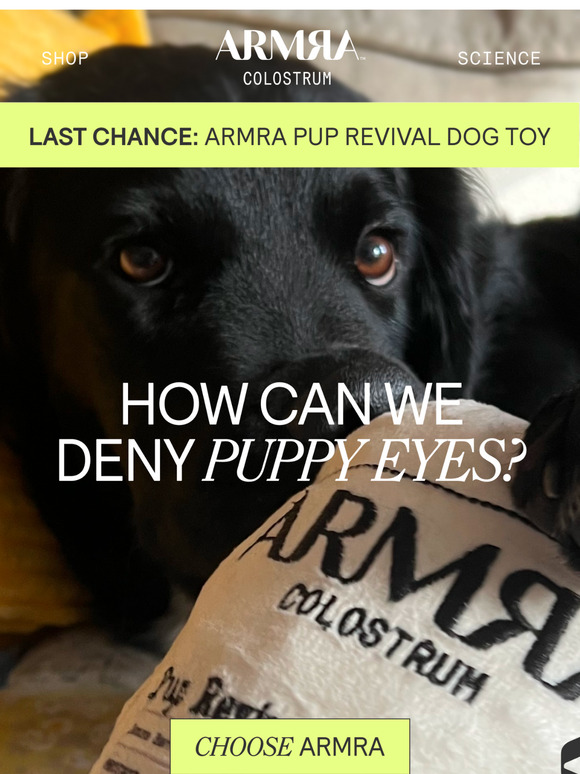 Last Chance: FREE ARMRA Pup Revival Dog Toy