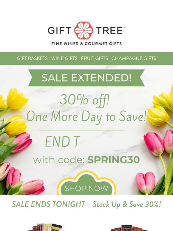 🎉 Surprise! 30% Off Extended – Ends Tonight!