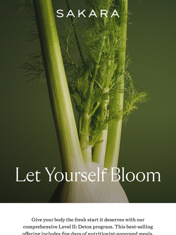 Your Own Spring Renewal