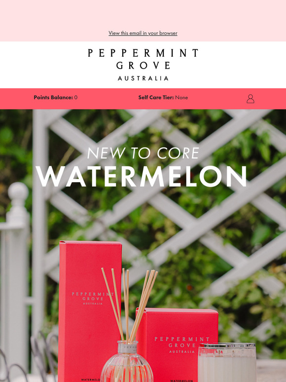 Watermelon is BACK & here to stay 🍉